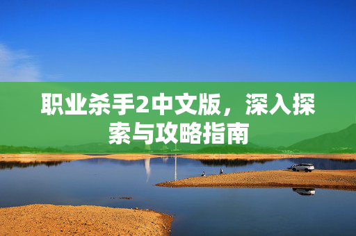 职业杀手2中文版，深入探索与攻略指南