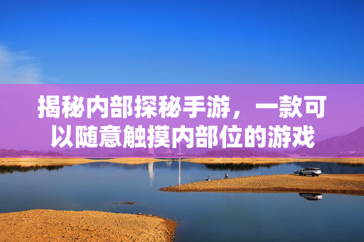 揭秘内部探秘手游，一款可以随意触摸内部位的游戏