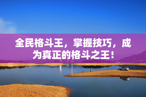 全民格斗王，掌握技巧，成为真正的格斗之王！