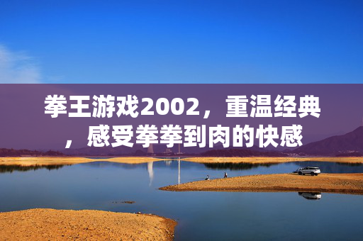 拳王游戏2002，重温经典，感受拳拳到肉的快感