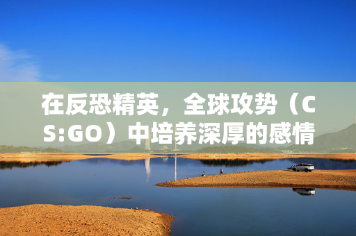 在反恐精英，全球攻势（CS:GO）中培养深厚的感情纽带