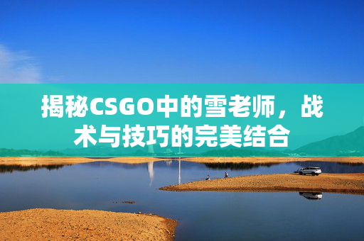 揭秘CSGO中的雪老师，战术与技巧的完美结合