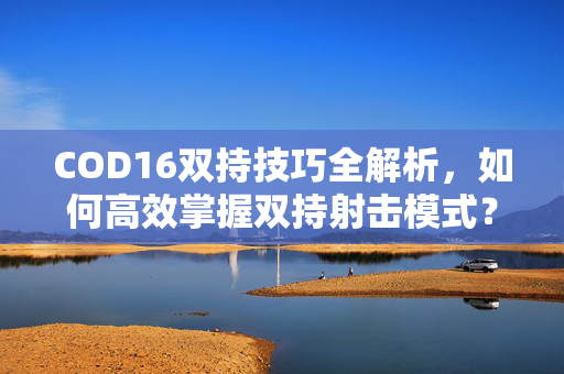 COD16双持技巧全解析，如何高效掌握双持射击模式？