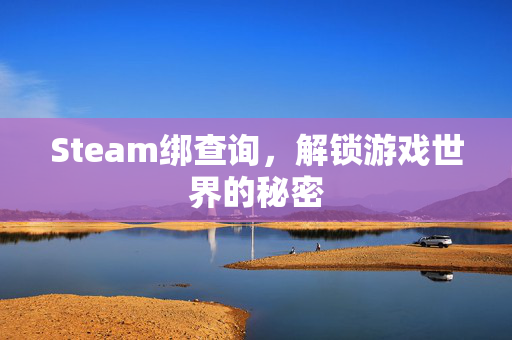 Steam绑查询，解锁游戏世界的秘密