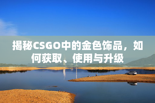 揭秘CSGO中的金色饰品，如何获取、使用与升级