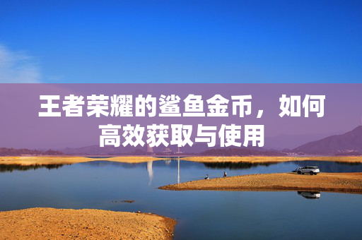 王者荣耀的鲨鱼金币,如何高效获取与使用 王者荣耀的鲨鱼金币,如何高效获取与使用