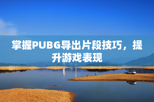 掌握PUBG导出片段技巧，提升游戏表现