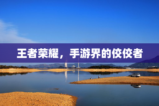 王者荣耀,手游界的佼佼者 王者荣耀,手游界的佼佼者