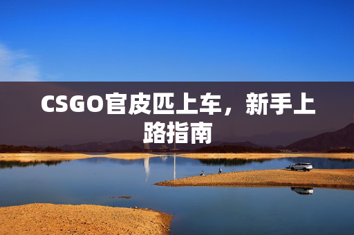 CSGO官皮匹上车，新手上路指南