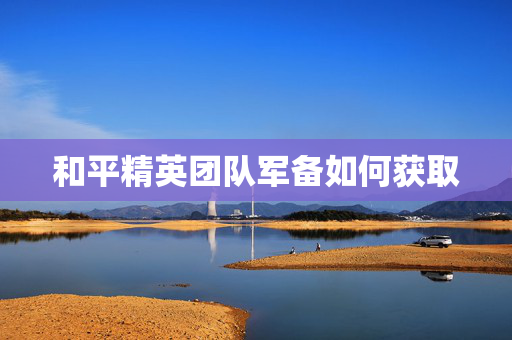 和平精英团队军备如何获取