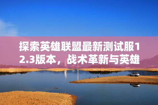 探索英雄联盟最新测试服12.3版本，战术革新与英雄平衡