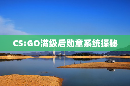 CS:GO满级后勋章系统探秘