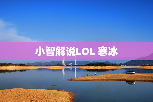 小智解说LOL 寒冰