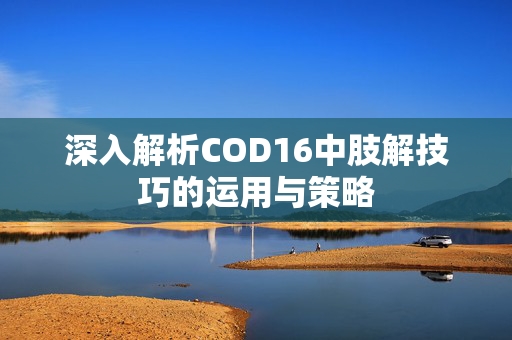 深入解析COD16中肢解技巧的运用与策略