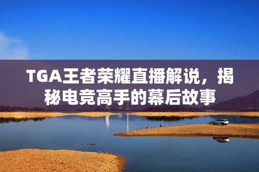 TGA王者荣耀直播解说，揭秘电竞高手的幕后故事