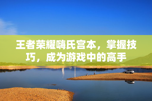 王者荣耀嗨氏宫本，掌握技巧，成为游戏中的高手
