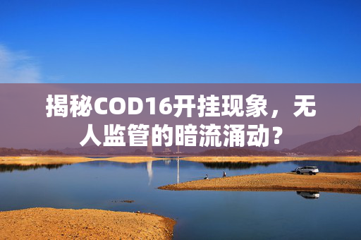 揭秘COD16开挂现象，无人监管的暗流涌动？