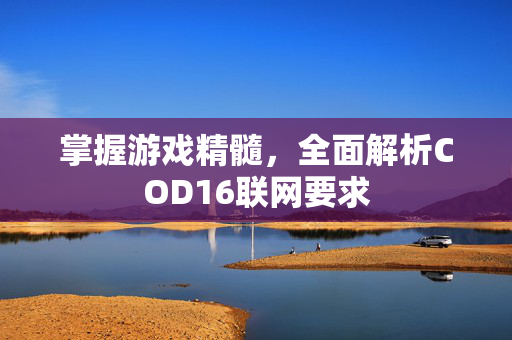 掌握游戏精髓，全面解析COD16联网要求