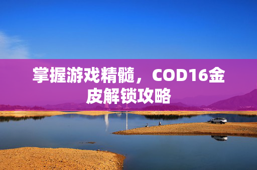 掌握游戏精髓，COD16金皮解锁攻略
