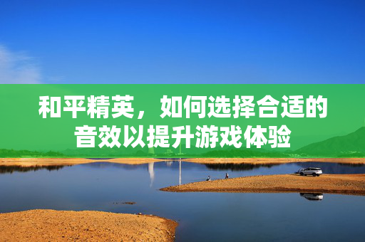 和平精英，如何选择合适的音效以提升游戏体验