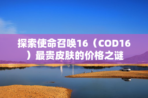 探索使命召唤16（COD16）最贵皮肤的价格之谜