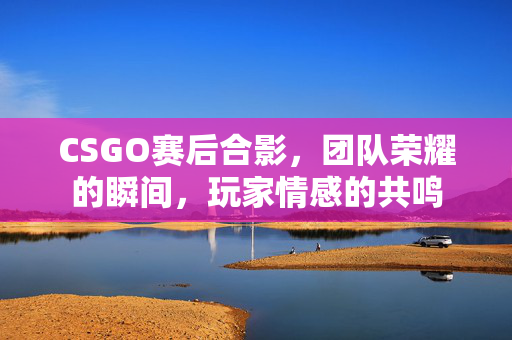 CSGO赛后合影，团队荣耀的瞬间，玩家情感的共鸣