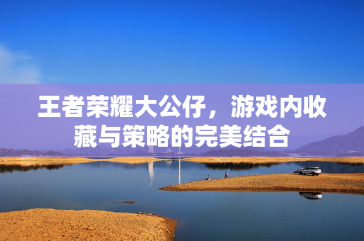 王者荣耀大公仔，游戏内收藏与策略的完美结合