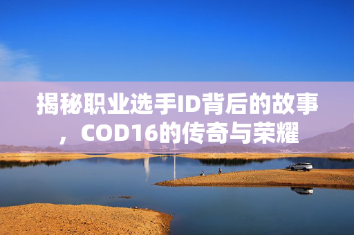 揭秘职业选手ID背后的故事，COD16的传奇与荣耀