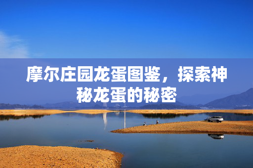 摩尔庄园龙蛋图鉴,探索神秘龙蛋的秘密 摩尔庄园龙蛋图鉴,探索神秘龙蛋的秘密