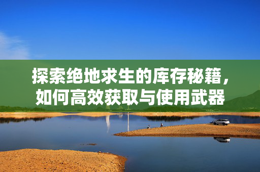 探索绝地求生的库存秘籍，如何高效获取与使用武器