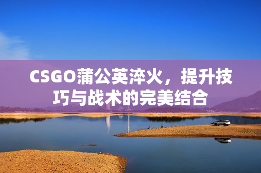 CSGO蒲公英淬火，提升技巧与战术的完美结合