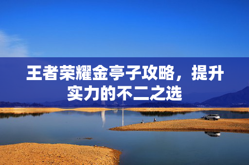 王者荣耀金亭子攻略，提升实力的不二之选