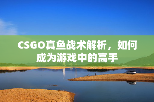 CSGO真鱼战术解析，如何成为游戏中的高手