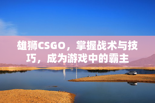 雄狮CSGO，掌握战术与技巧，成为游戏中的霸主