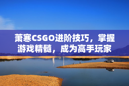 萧寒CSGO进阶技巧，掌握游戏精髓，成为高手玩家