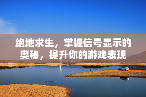 绝地求生，掌握信号显示的奥秘，提升你的游戏表现