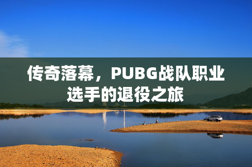 传奇落幕，PUBG战队职业选手的退役之旅