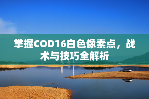 掌握COD16白色像素点，战术与技巧全解析