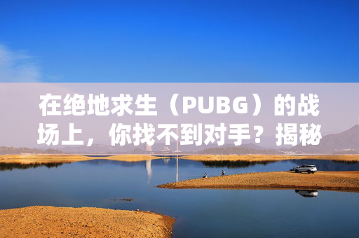 在绝地求生（PUBG）的战场上，你找不到对手？揭秘游戏搜索难题
