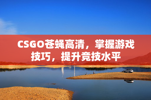 CSGO苍蝇高清，掌握游戏技巧，提升竞技水平