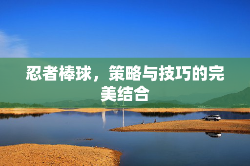 忍者棒球,策略与技巧的完美结合 忍者棒球,策略与技巧的完美结合