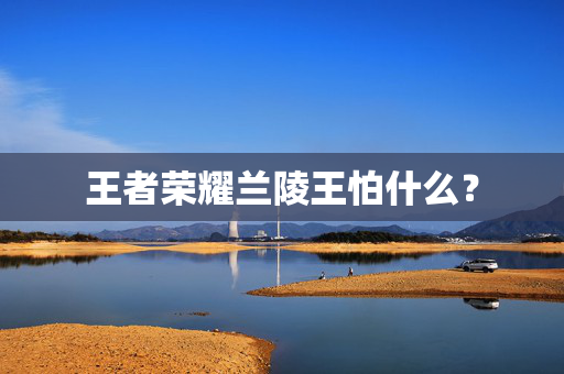 王者荣耀兰陵王怕什么？
