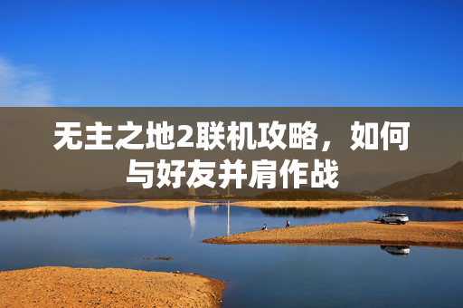 无主之地2联机攻略，如何与好友并肩作战