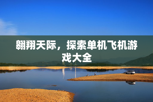 翱翔天际,探索单机飞机游戏大全 翱翔天际,探索单机飞机游戏大全
