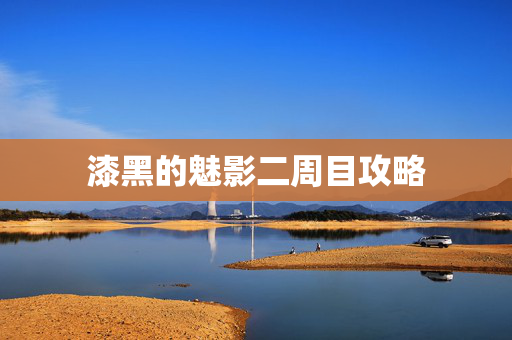 漆黑的魅影二周目攻略