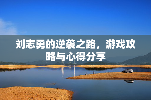 刘志勇的逆袭之路，游戏攻略与心得分享