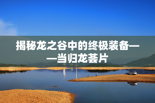 揭秘龙之谷中的终极装备——当归龙荟片 揭秘龙之谷中的终极装备——当归龙荟片